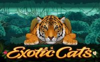 slot gratis exotic cats