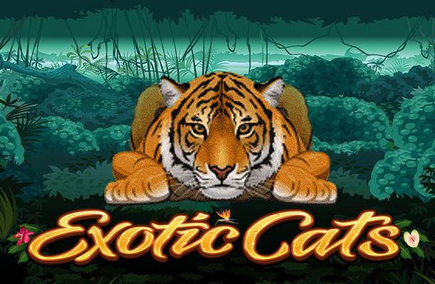 slot gratis exotic cats