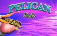 slot gratis pelican pete