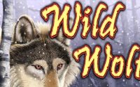 slot machine gratis wild wolf